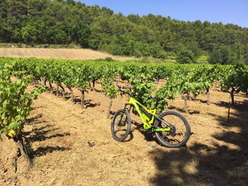Luberon: Goult Vineyard Bike Tour