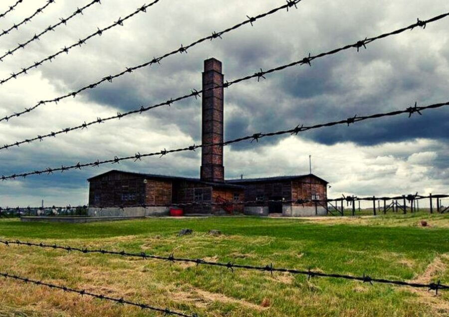 Lublin & Majdanek Small-Group Tour From Warsaw With Lunch - Good To Know