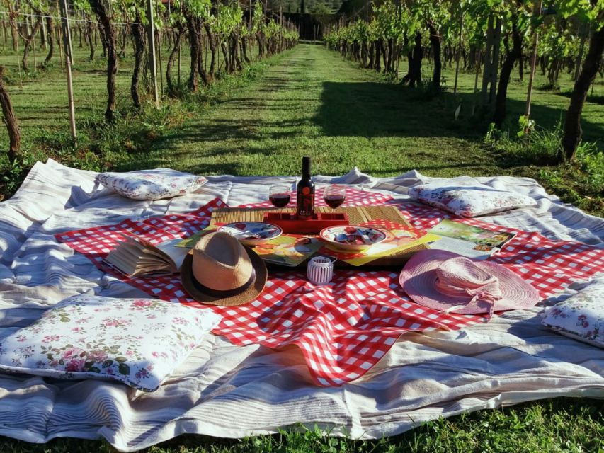 Lucca: Bicycle Rental With Picnic Lunch at a Vineyard - Good To Know