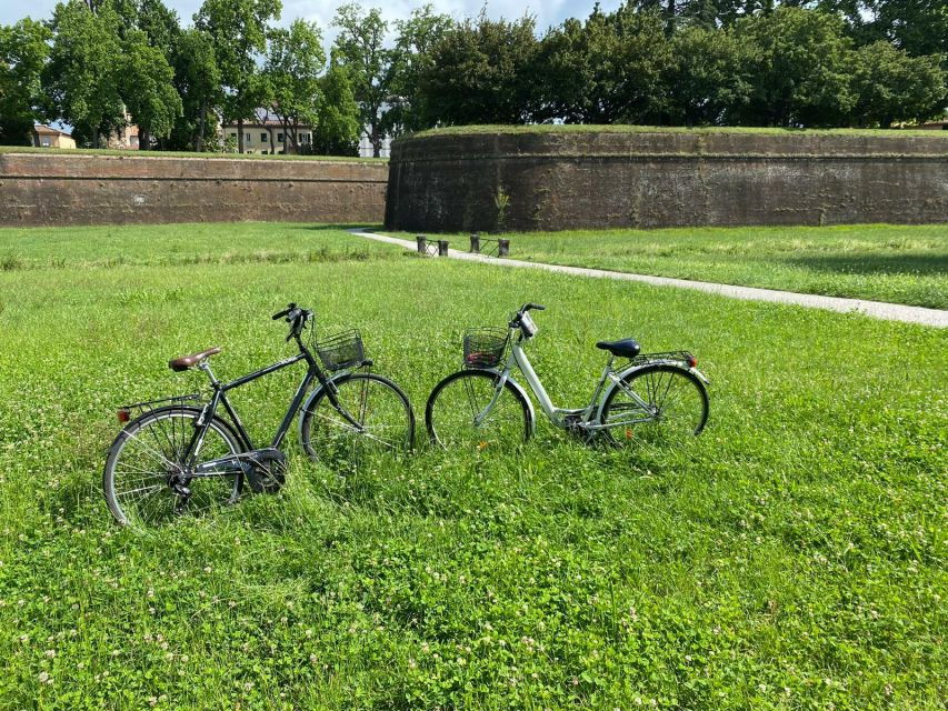 Lucca: City Bike One-Day Rental