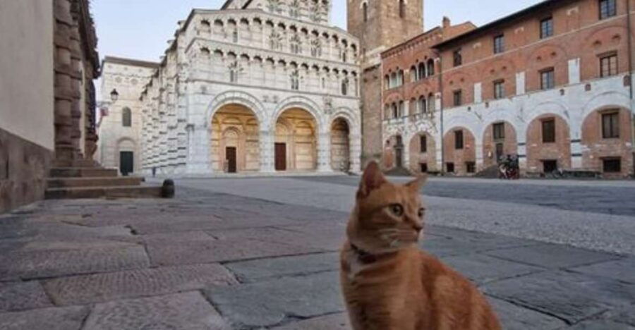 Lucca: Walking Tour on the Stories & Legends of the City! - Good To Know