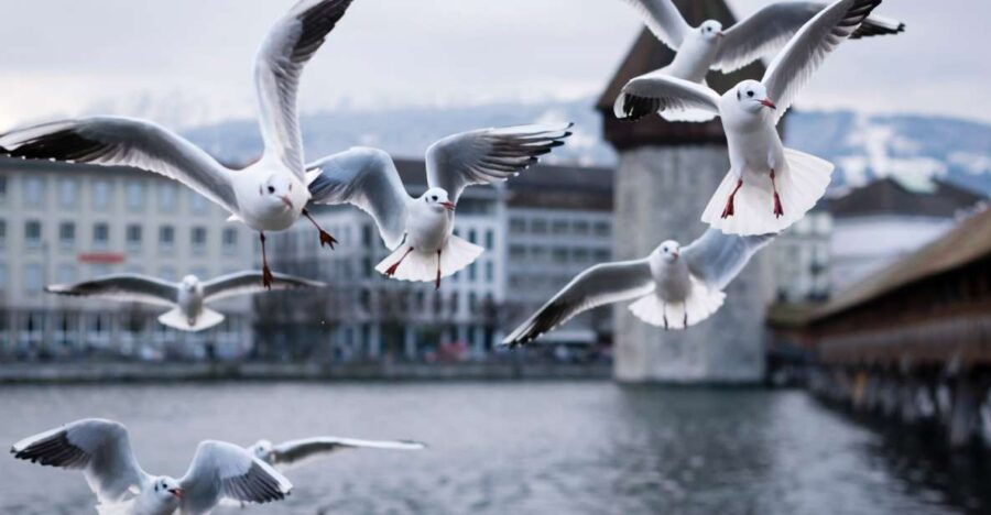 Lucerne: City Exploration Game and Tour