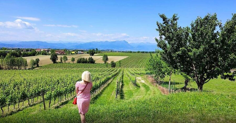 Lugana: Vineyards Tour and Lugana Wine Tasting - Good To Know