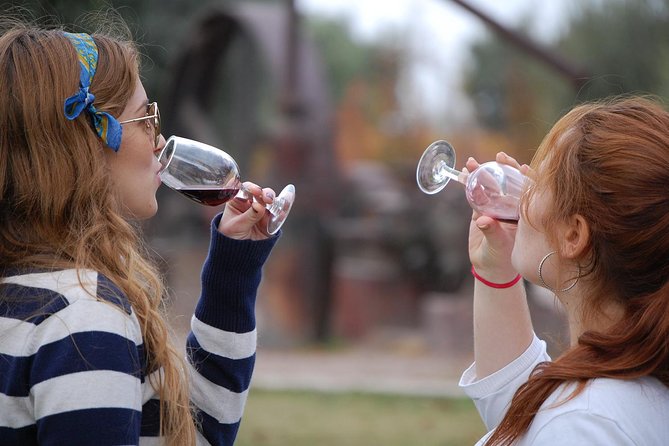Luján De Cuyo Wine-Tasting Tour From Mendoza
