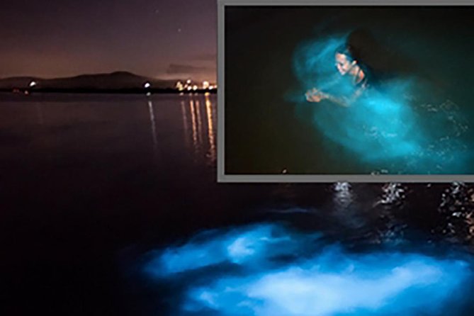 Luminous Lagoon and Glistening Water Tour From Montego Bay - Good To Know