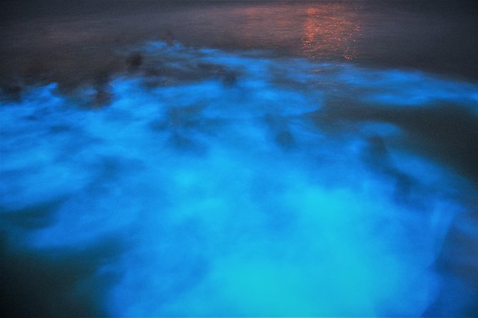 Luminous Lagoon “Glistening Waters” Tour From Montego Bay Hotels