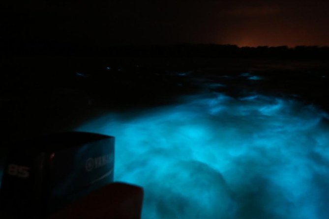 Luminous Lagoon-Night Tour (Falmouth, Ocho Rios or Montego)