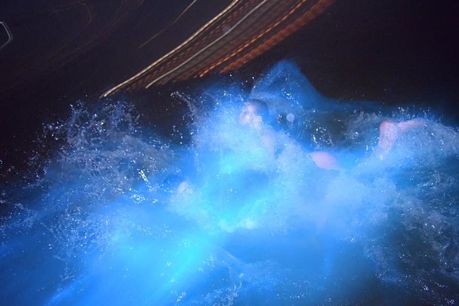 Luminous Lagoon Night Tour From Ocho Rios