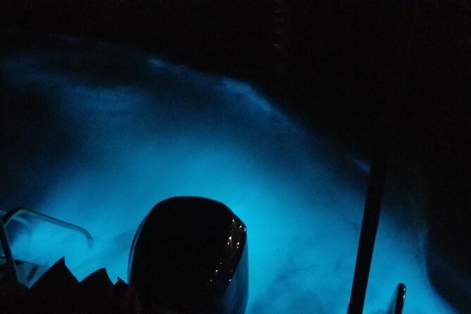 Luminous Lagoon Private Night Tour [ All Fees Included ] - Good To Know