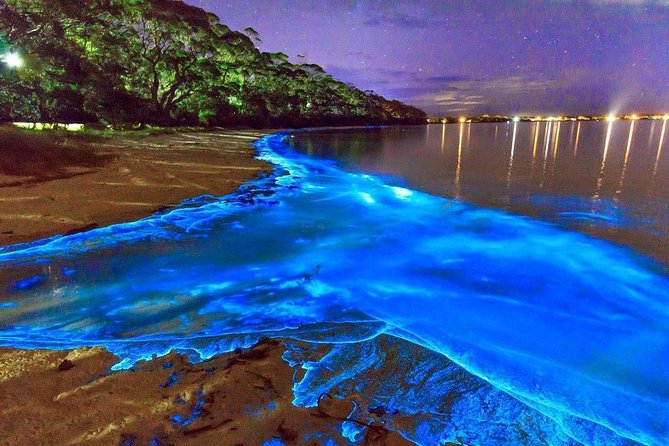 Luminous Lagoon Small Group Tour From Montego Bay - Good To Know