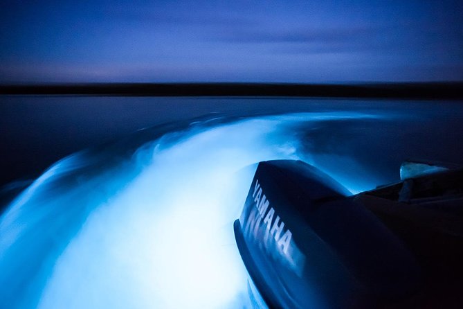 Luminous Lagoon Tour From Montego Bay - Good To Know