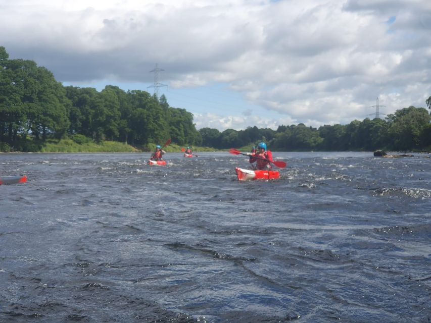 Luncarty to Willowgate Kayak Tour
