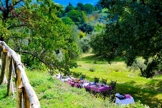 Lunch Among the Olive Trees - Location and Contact Information