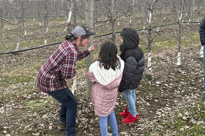 Lunch and Tour of an Apple Orchard With a Farmer in Elyria - Good To Know