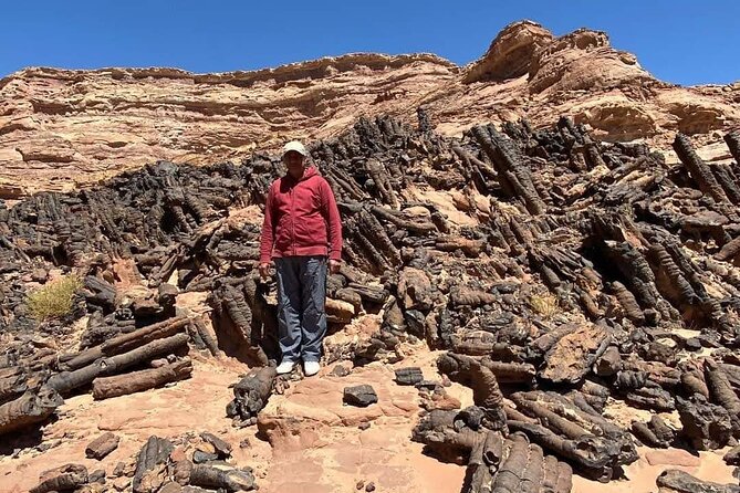 Luxor Camel Ride - Good To Know