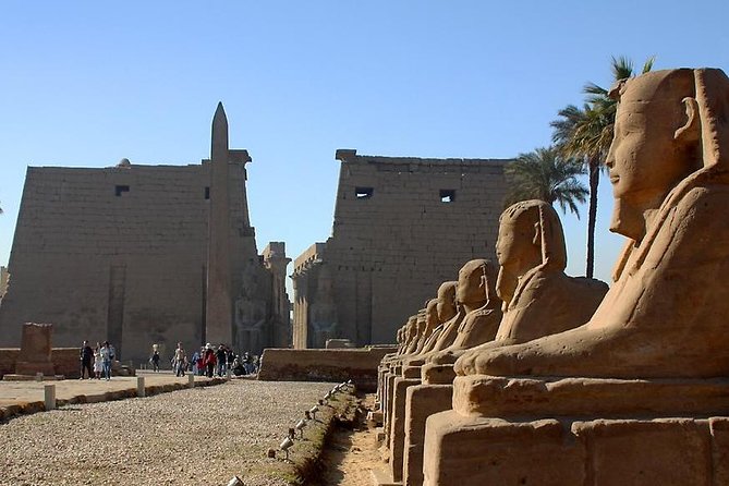 Luxor Layover Private Tour From Luxor Airport to Luxor Attractions Include Lunch