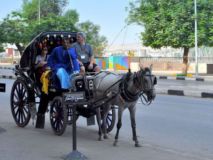 Luxor : Luxor City Tour By Horse Carriage - Good To Know