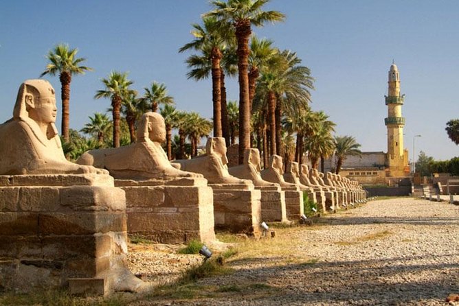 6 Best Guided Tours In Safaga