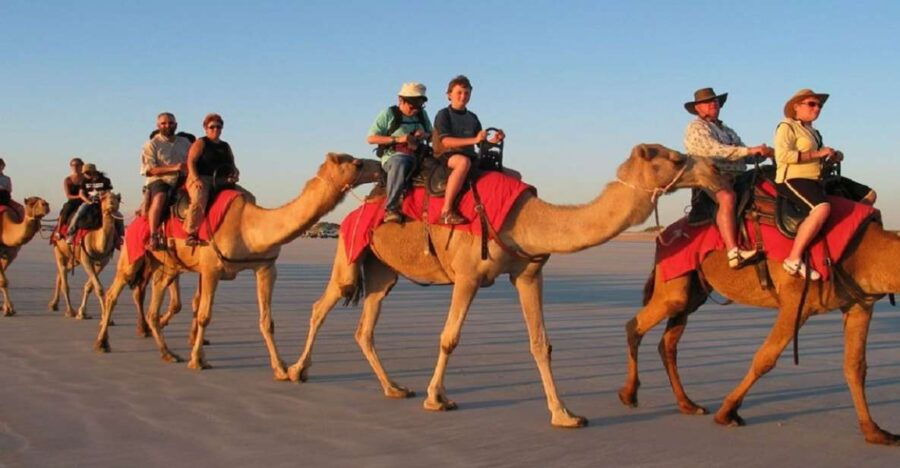 Luxor: Scenic Camel or Horse Ride - Good To Know