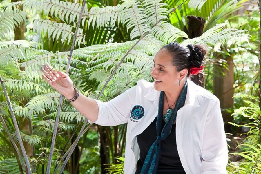 Luxury Auckland & West Coast Day Tour With Maori Guide - Good To Know