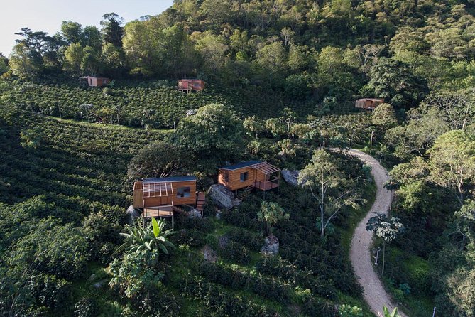 Luxury Coffee Plantation Private Tour (9 Hrs.) - Good To Know