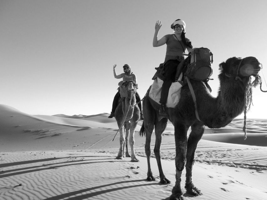 Luxury Desert Camp With Camel Ride, Meals & Sandboarding