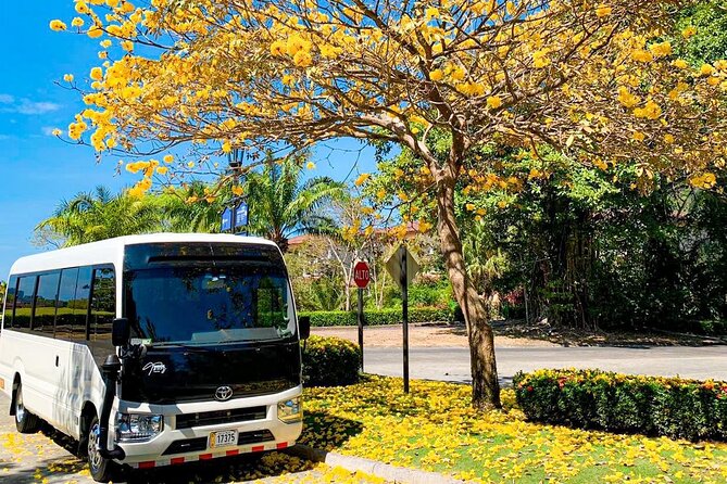 Luxury Shuttle Service Connects Jaco and San José - Good To Know