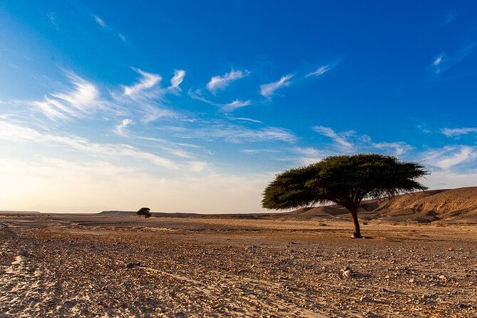Luxury Sunset Safari to the Oasis & Starlit Dinner From Hurghada