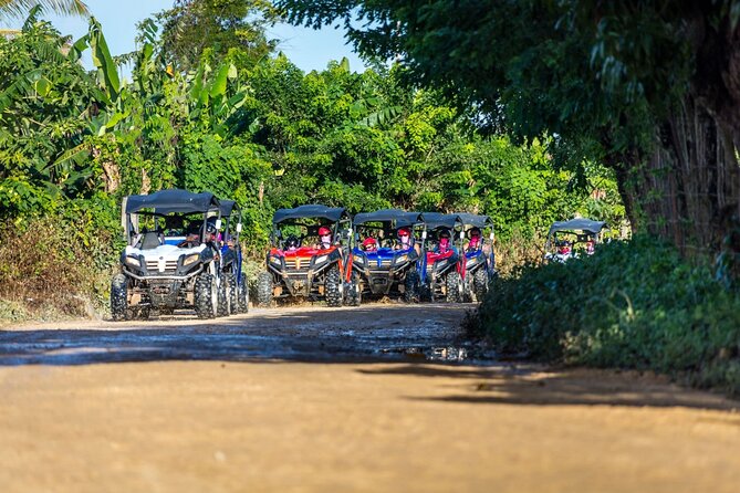 Macao Beach Buggy Safari & Cenote Swimming