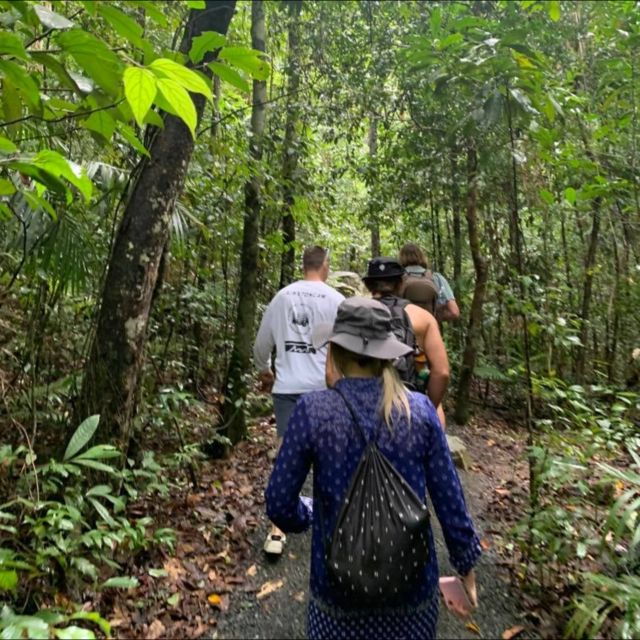 Mackay: Finch Hatton Gorge Hike, Swim & Platypus Adventure