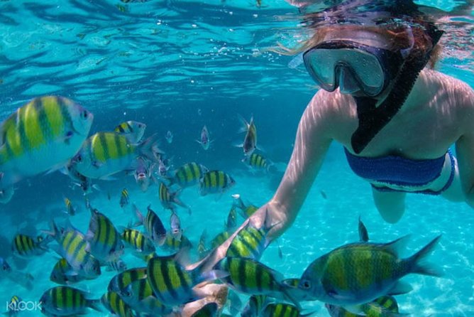 Mactan Cebu Island Hopping With Lunch - Gilutungan, Caohagan, Nalusuan - Good To Know