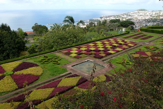Madeira Botanical Garden: Private Tour With Round-Trip Tuk-Tuk  – Funchal