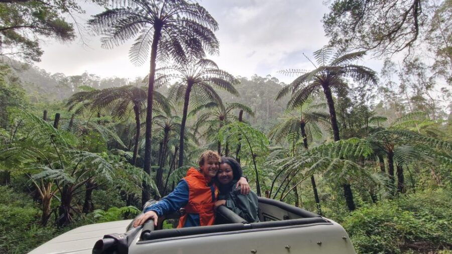Madeira in One Day: Funchal & Eastern Highlights