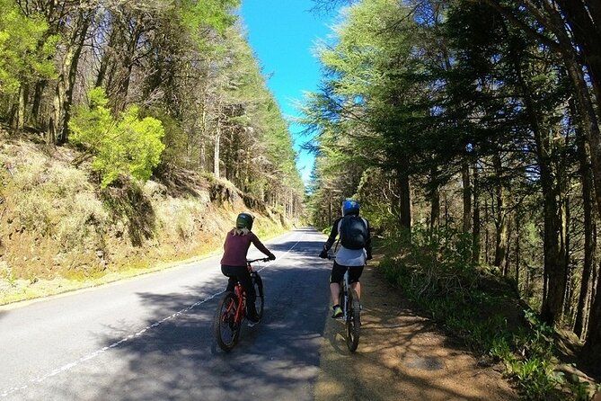 Madeira Island Guided Mountain Biking Adventure - Good To Know