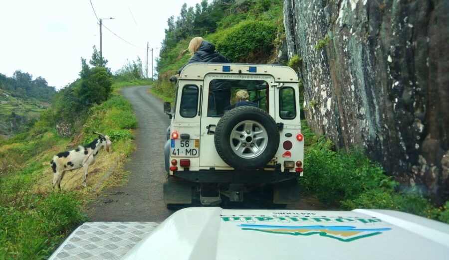 Madeira: Mini-Combo East Challenge: Jeep Safari Levada - Good To Know