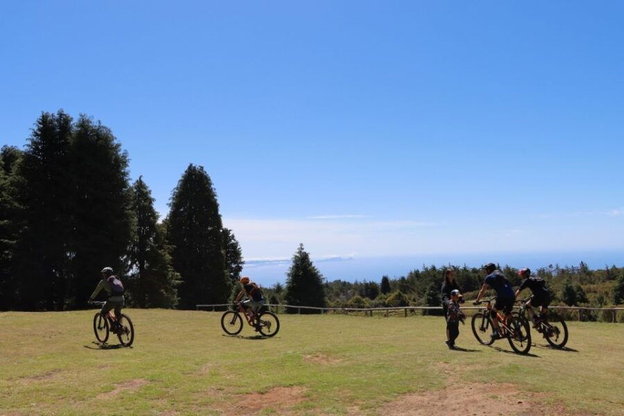 Madeira - Mountain Biking Tour - Good To Know