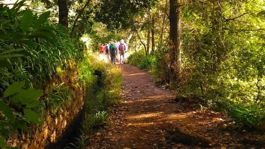 Madeira: Paradise Valley Levada Walk - Good To Know