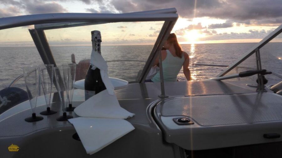 Madeira: Private Cruise Whale and Dolphin Watching 2.5-Hour