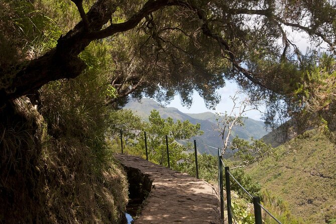 Madeira: Private Guided Levada Do Risco Hiking Tour Half-Day