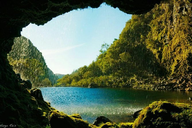 Madeira: Private Guided Levada Walking Tour - Funchal