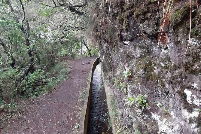 Madeira: Private Guided Tour to Ribeiro Frio and Chão Das Feiteiras