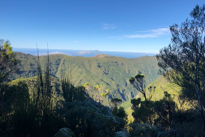 Madeira: Private Guided Walk Vereda Fanal PR13