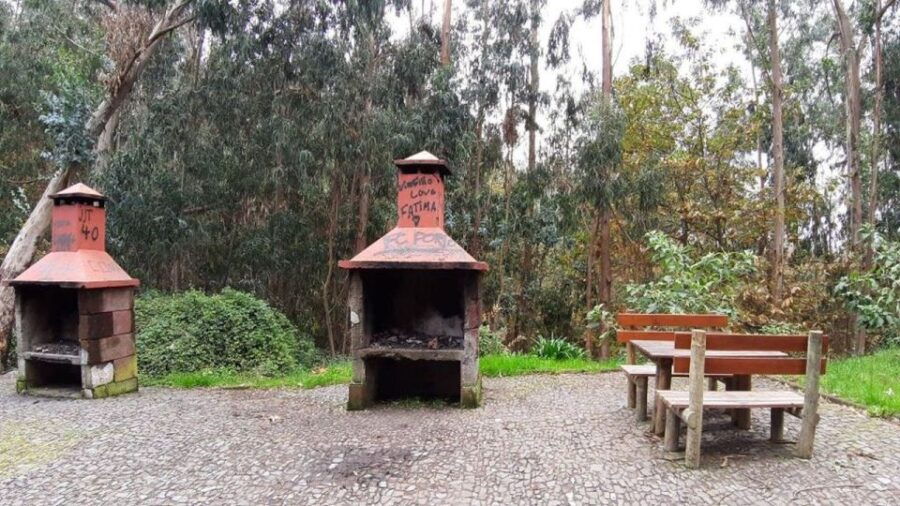 Madeira: Private Half-Day Jardim Da Serra Tour