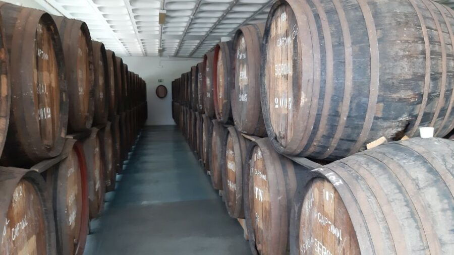 Madeira: Private Half-Day Wine Tasting Tour - Good To Know