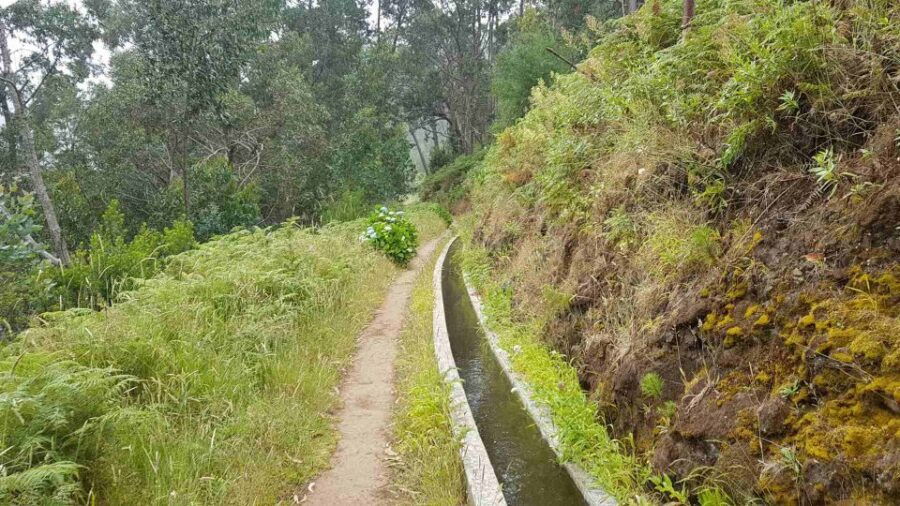 Madeira: Private Levada Ponta Do Pargo Walk - Good To Know