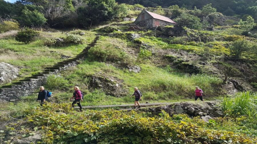 Madeira: Private Vereda Do Larano Hike