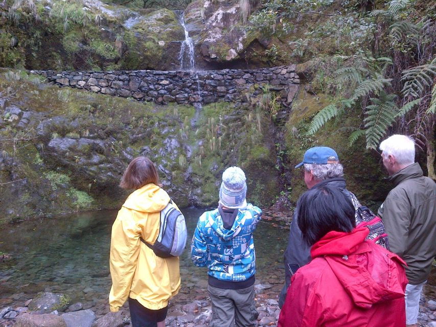Madeira: Ribeiro Frio to Portela 4-Hour Guided Walk - Tour Details
