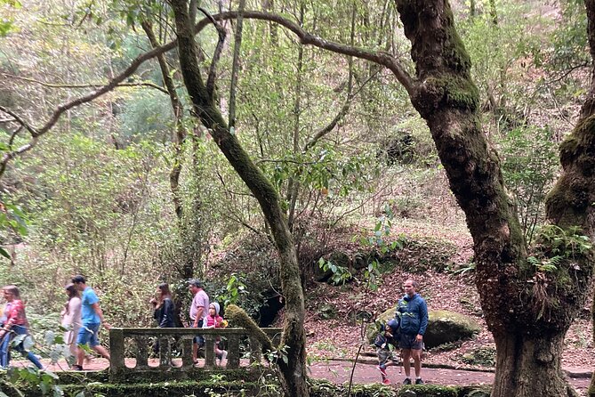 Madeira Top Sunset - Good To Know