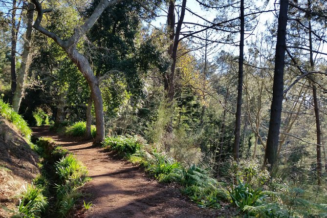Madeira Vale Do Paraíso Day Walking Tour