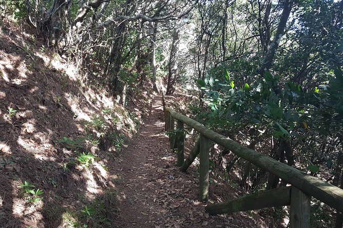 Madeira: Vereda Das Funduras Private Walking Tour PR5